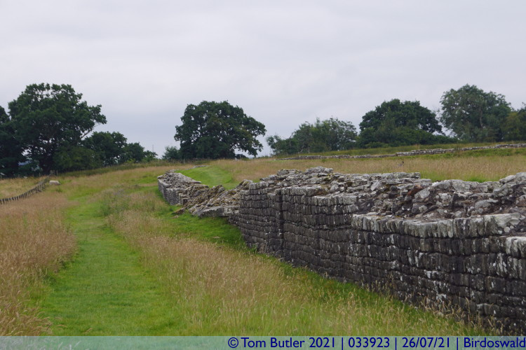 Photo ID: 033923, Eastern edge of the fort, Birdoswald, England