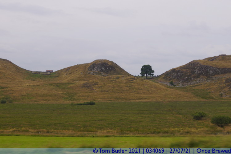 Photo ID: 034069, Sycamore Gap and Mile fort, Once Brewed, England