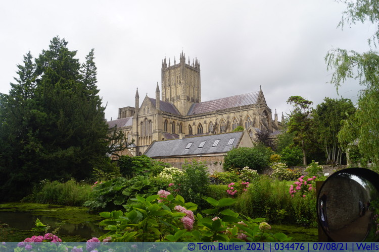 Photo ID: 034476, Gardens and Cathedral, Wells, England