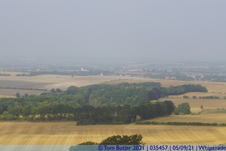 Photo ID: 035457, View over the downs, Whipsnade, England
