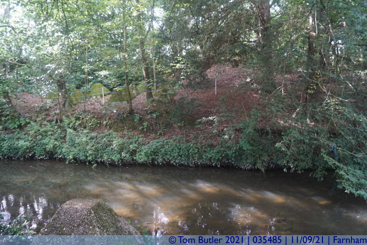 Photo ID: 035485, Teeth and river, Farnham, England