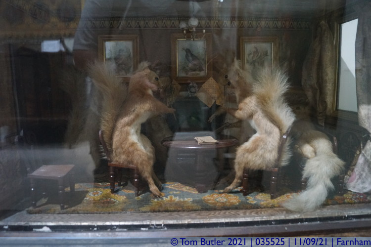 Photo ID: 035525, Squirrels playing cards, Farnham, England