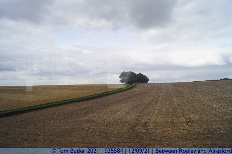 Photo ID: 035584, The fields of Hampshire, Between Ropley and Alresford, England