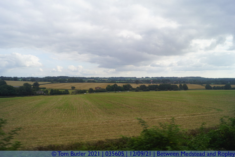 Photo ID: 035605, View across the fields of Hampshire, Between Medstead and Ropley, England