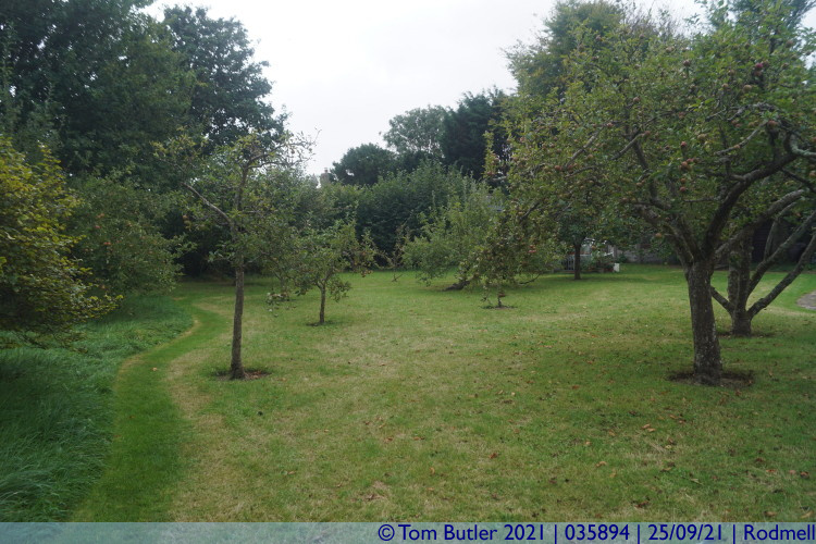 Photo ID: 035894, Fruit trees, Rodmell, England
