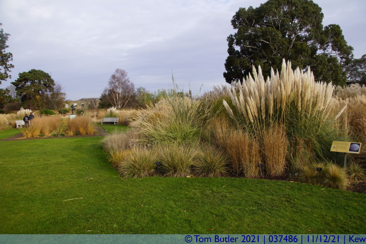 Photo ID: 037486, The Grass Garden, Kew, England