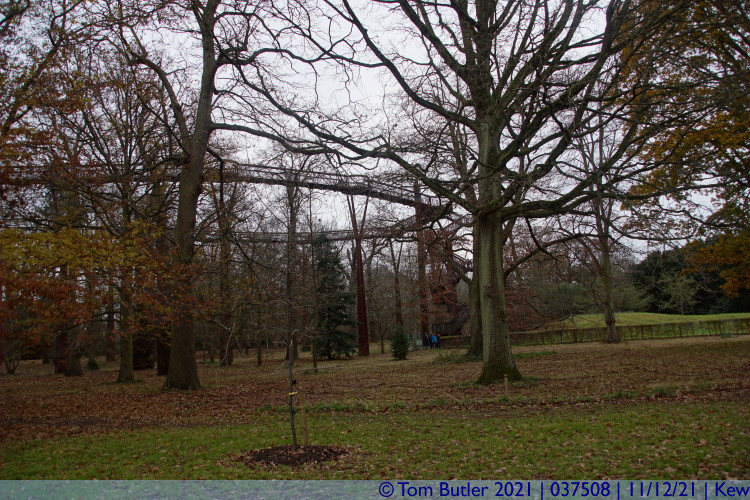 Photo ID: 037508, The Tree-Top walkway, Kew, England