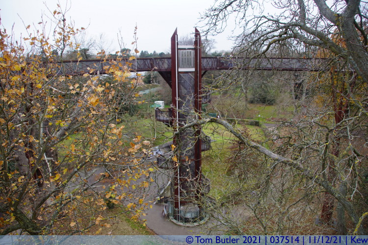 Photo ID: 037514, Tree-Top walkway access, Kew, England