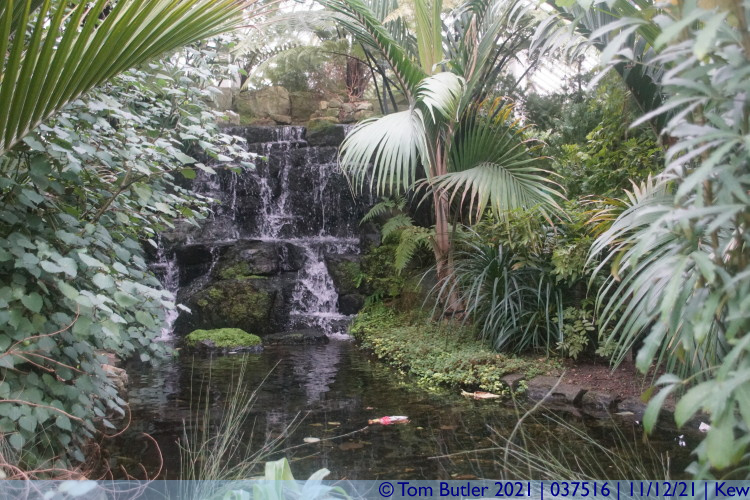 Photo ID: 037516, Temperate House Waterfall, Kew, England