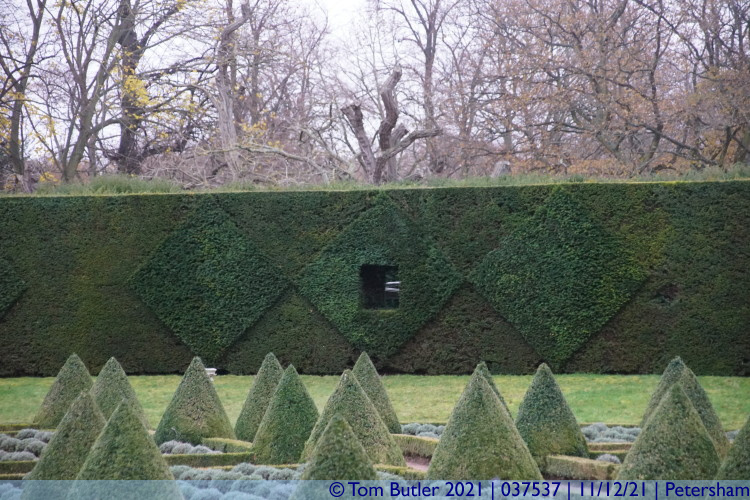 Photo ID: 037537, Hedge sculpture, Petersham, England