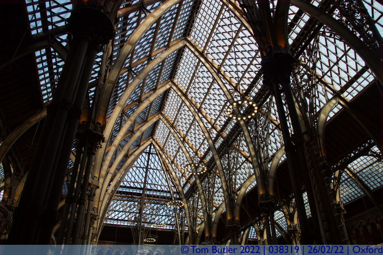 Photo ID: 038319, Roof of the Natural History Museum, Oxford, England
