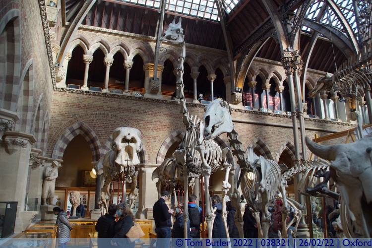 Photo ID: 038321, Modern skeletons, Oxford, England