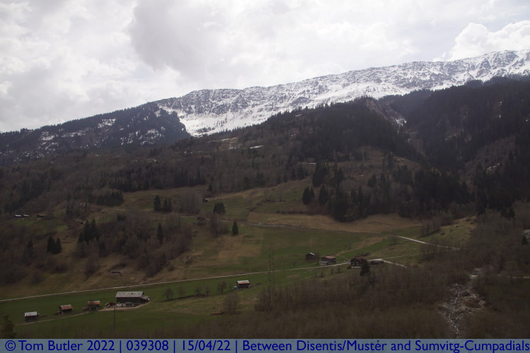 Photo ID: 039308, Vorderrhein Valley, Between Disentis/Mustr and Sumvitg-Cumpadials, Switzerland