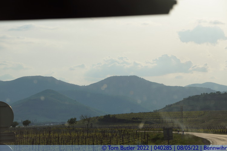 Photo ID: 040285, Mountains and Vineyards, Bennwihr, France