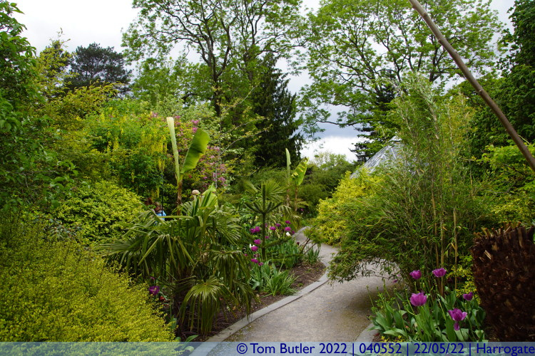 Photo ID: 040552, Fragrance garden, Harrogate, England