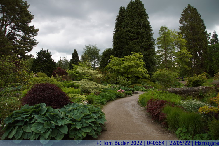 Photo ID: 040584, In the rock gardens, Harrogate, England