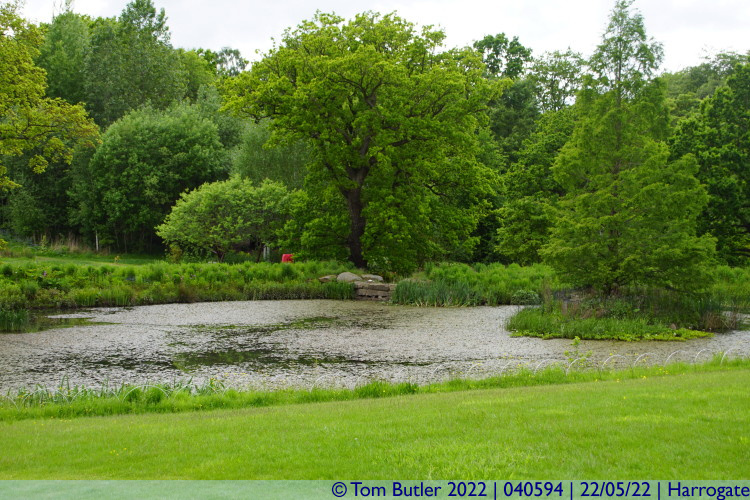 Photo ID: 040594, The lake, Harrogate, England