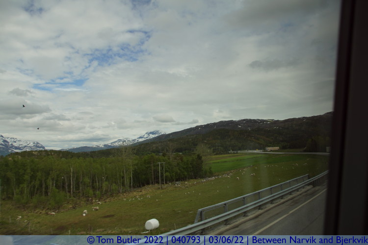 Photo ID: 040793, Nordland, Between Narvik and Bjerkvik, Norway