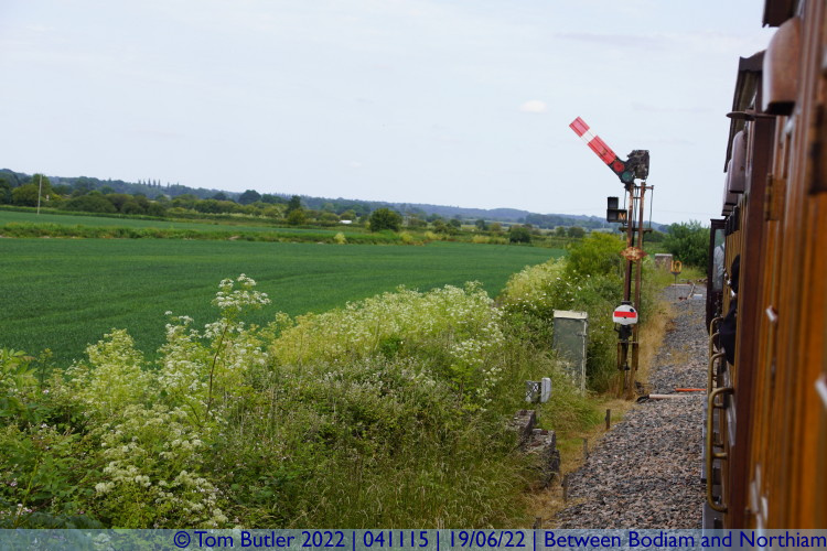 Photo ID: 041115, Signal clearance, Between Bodiam and Northiam, England