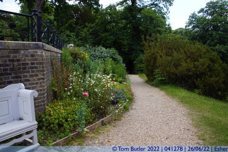 Photo ID: 041278, Below the Camellia Terrace, Esher, England