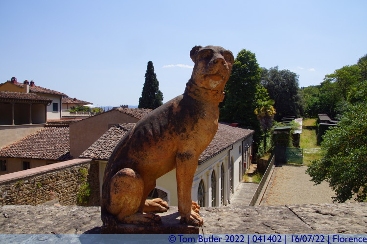 Photo ID: 041402, Good Boy, Florence, Italy
