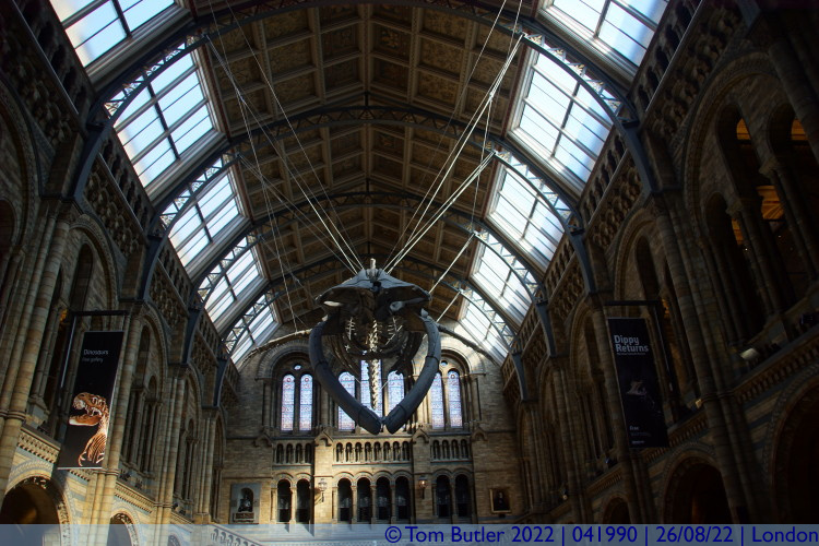 Photo ID: 041990, Hope the Blue Whale, London, England