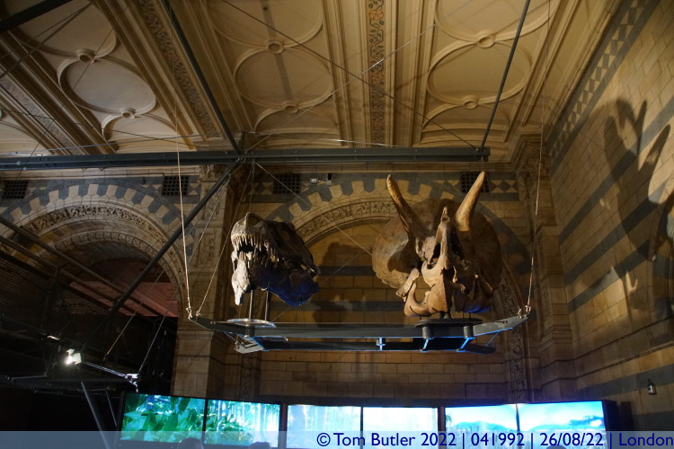 Photo ID: 041992, Dinosaur Skulls, London, England
