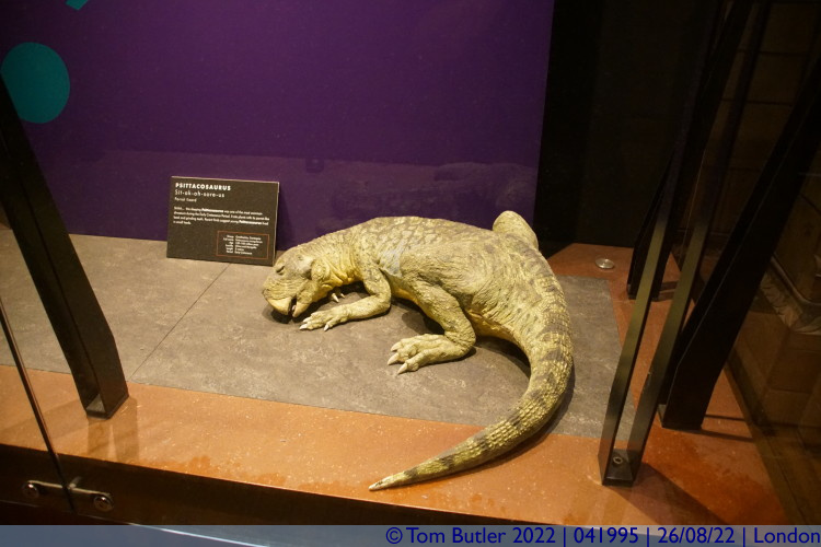 Photo ID: 041995, Psittacosaurus, London, England