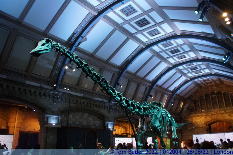 Photo ID: 042004, London's Dinosaur, London, England