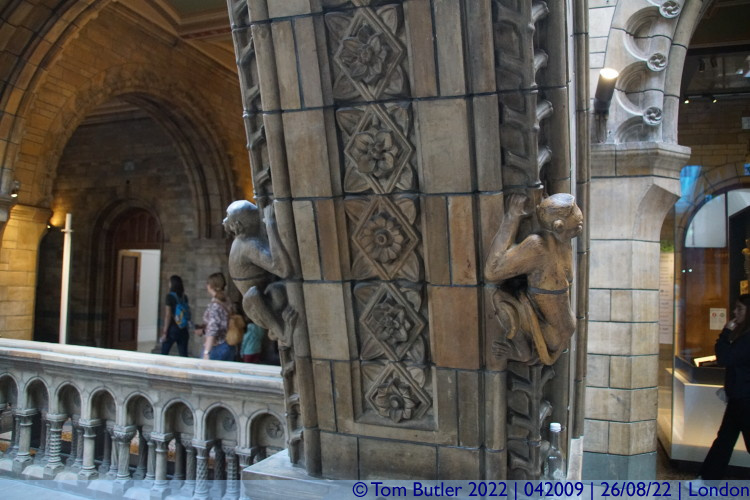 Photo ID: 042009, Monkeys on the architecture, London, England