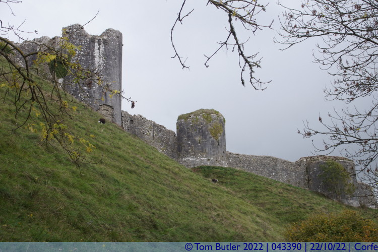 Photo ID: 043390, Walls of Corfe Castle, Corfe, England