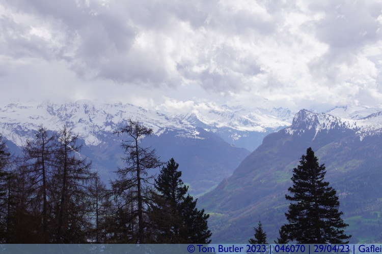 Photo ID: 046070, Peaks as far as the eye can see, Gaflei, Liechtenstein