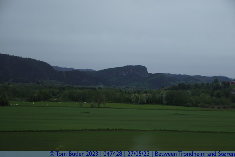 Photo ID: 047428, Rolling hills, Between Trondheim and Stren, Norway