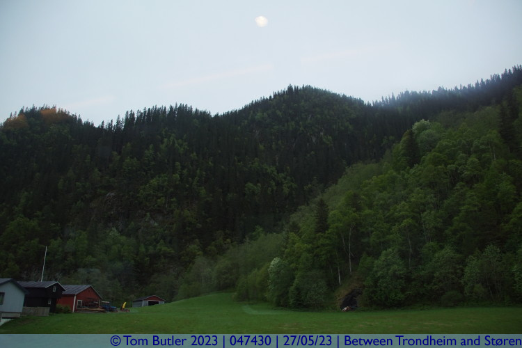 Photo ID: 047430, Wooded hills, Between Trondheim and Stren, Norway