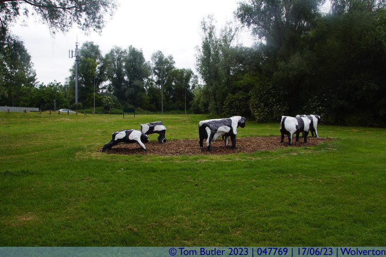 Photo ID: 047769, The Concrete Cows, Wolverton, England