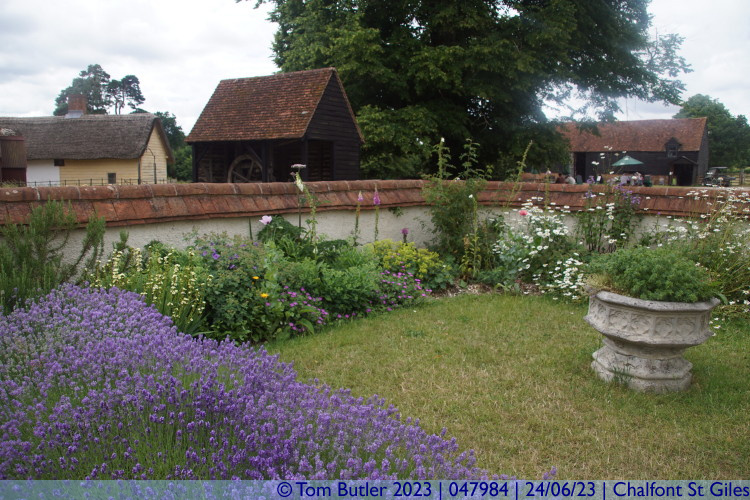 Photo ID: 047984, In the cottage garden, Chalfont St Giles, England