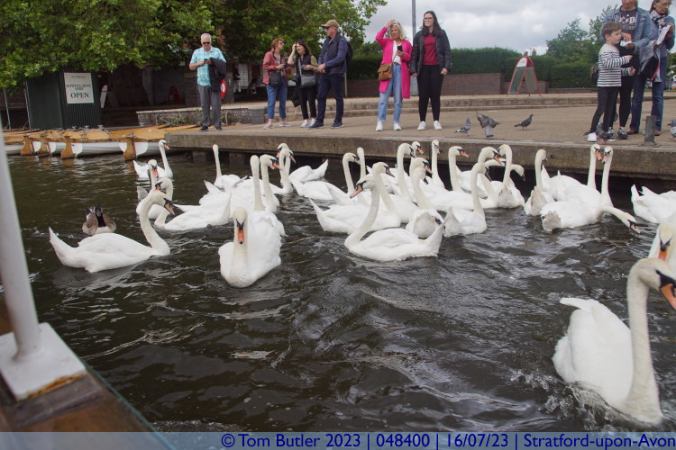 Photo ID: 048400, Feeding time, Stratford-upon-Avon, England