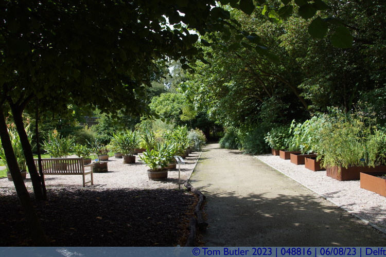 Photo ID: 048816, Inside the Botanical Gardens, Delft, Netherlands