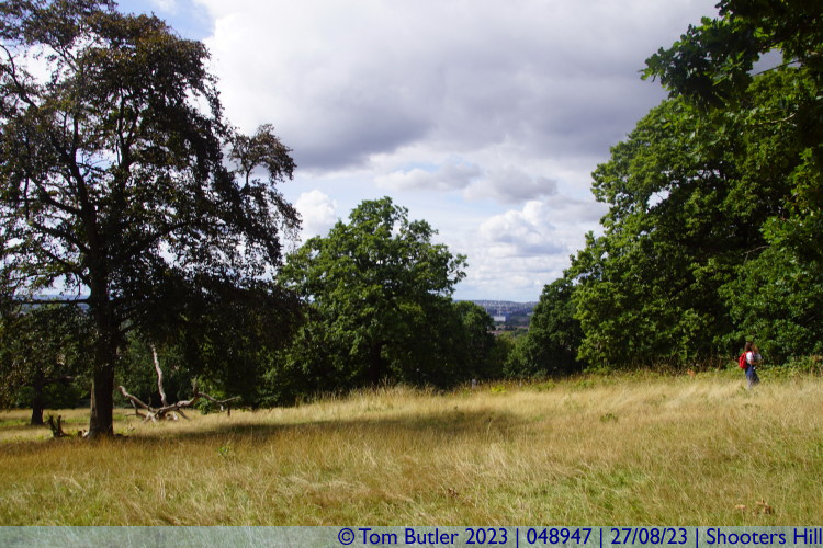 Photo ID: 048947, Still high, Shooters Hill, England