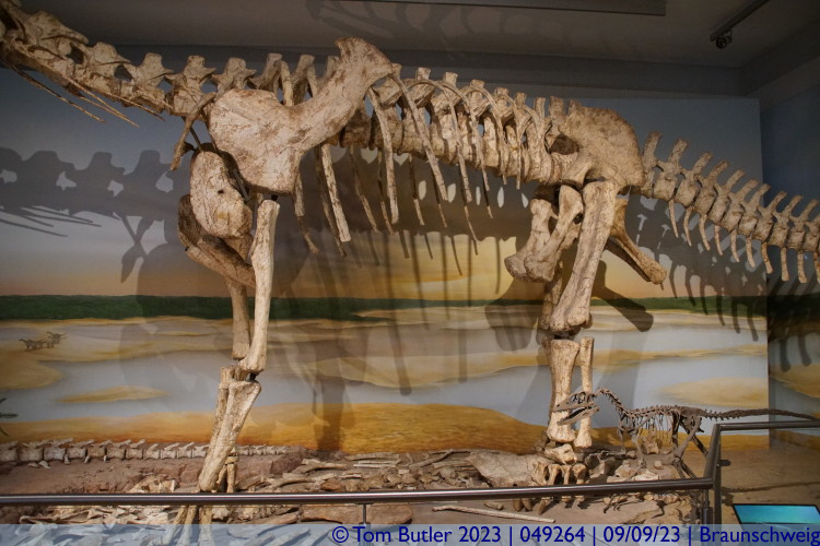 Photo ID: 049264, Body of the dino skeleton, Braunschweig, Germany