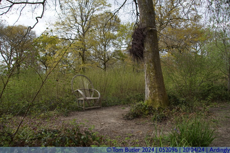 Photo ID: 052096, Oversized wicker chair, Ardingly, England