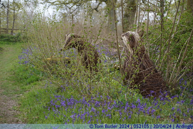 Photo ID: 052105, More wicker badgers, Ardingly, England