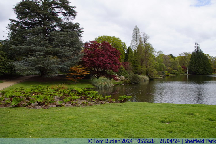 Photo ID: 052228, The Ten Foot Pond, Sheffield Park, England