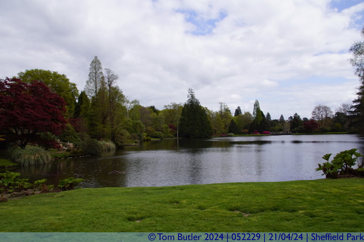 Photo ID: 052229, View across the pond, Sheffield Park, England