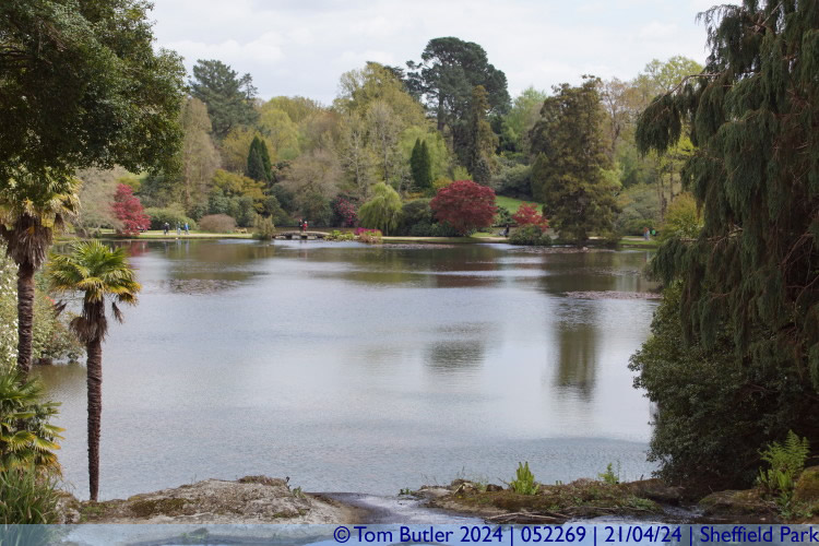 Photo ID: 052269, Middle lake from First Bridge, Sheffield Park, England