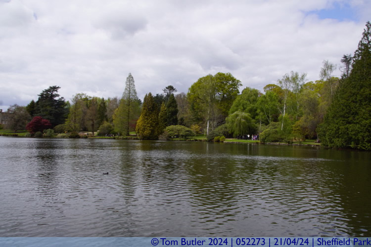Photo ID: 052273, View across Ten Foot Pond, Sheffield Park, England