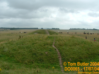 Photo ID: do0065, Looking across the Cursus, Stonehenge Down, Wiltshire