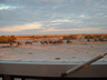 Photo ID: 000195, Early morning communting Etosha Style (45Kb)