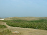 Photo ID: 000264, Looking towards the sand dunes (39Kb)