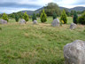 Photo ID: 000399, Stone Circle (59Kb)